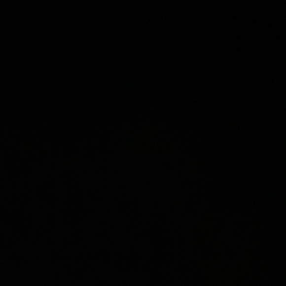 Meet your Posher, Peyton - Picture 1 of 1